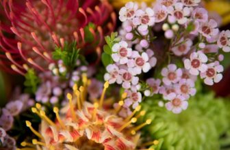 Quels sont les avantages d’utiliser des plantes indigènes dans mon jardin ?