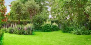 Comment créer un jardin zen relaxant dans mon jardin ?