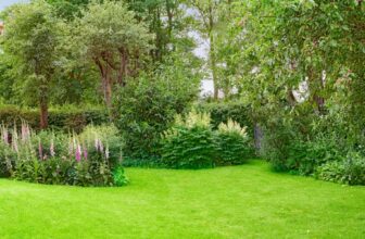 Comment créer un jardin zen relaxant dans mon jardin ?