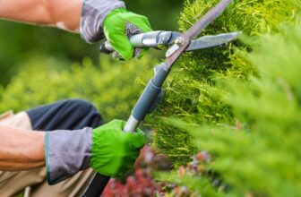 Quelles sont les meilleures plantes pour un jardin nécessitant peu d’entretien ?